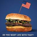 Картинка към Fast Food: Ads vs. Reality